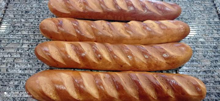 Pains viennois Saint-Joseph